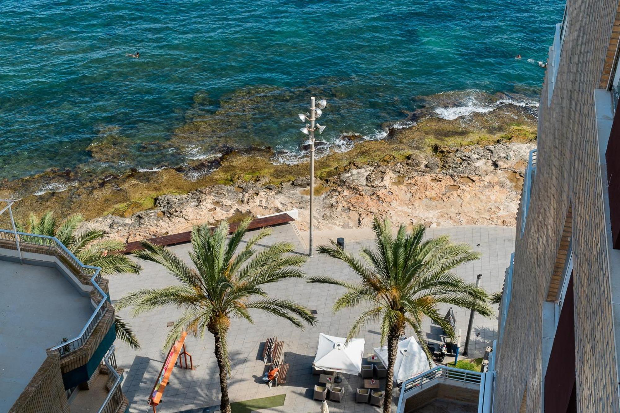 La Paz Lejlighed Torrevieja Eksteriør billede